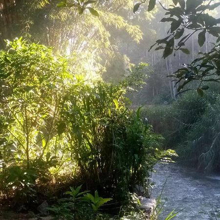 Ask Homestay Ella Ngoại thất bức ảnh