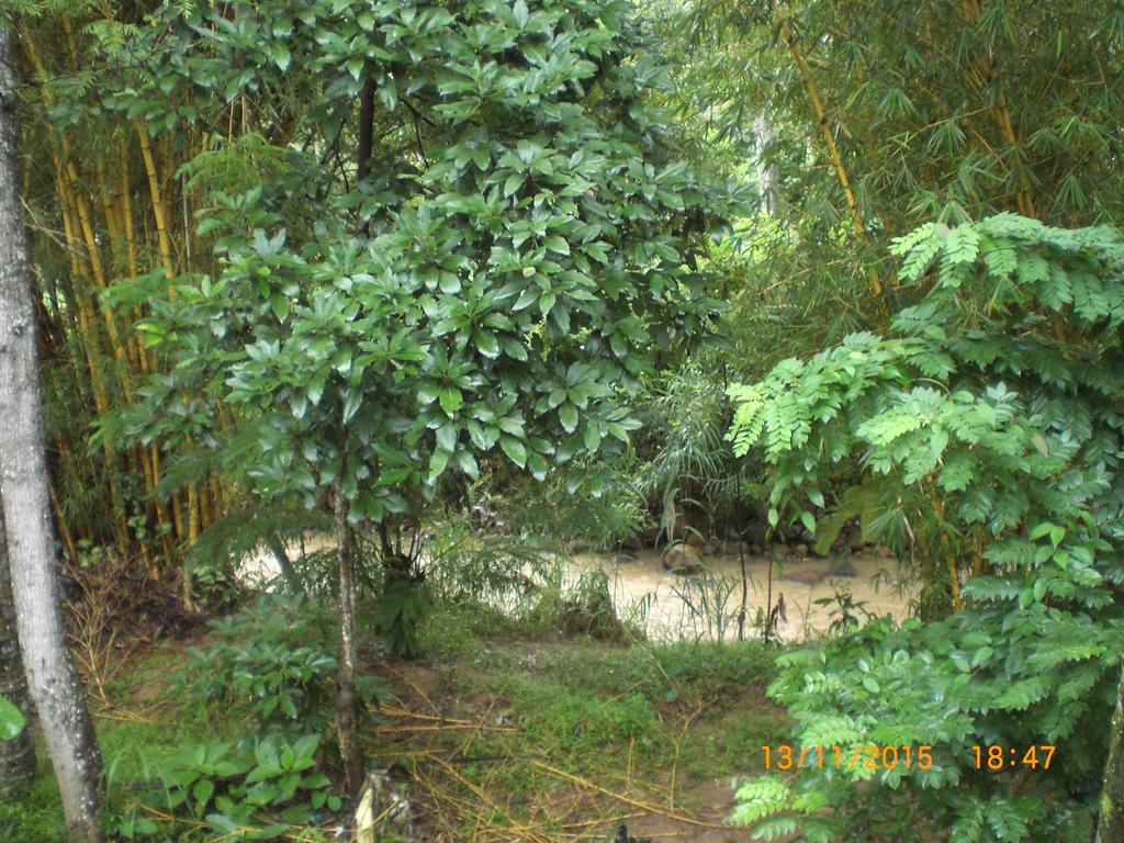 Ask Homestay Ella Ngoại thất bức ảnh